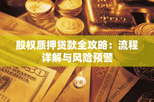 济南股权质押贷款全攻略：流程详解与风险预警