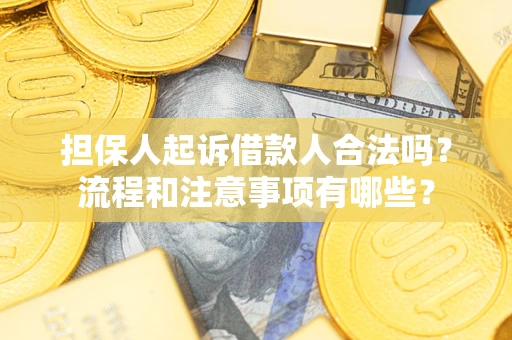 济南担保人起诉借款人合法吗？流程和注意事项有哪些？