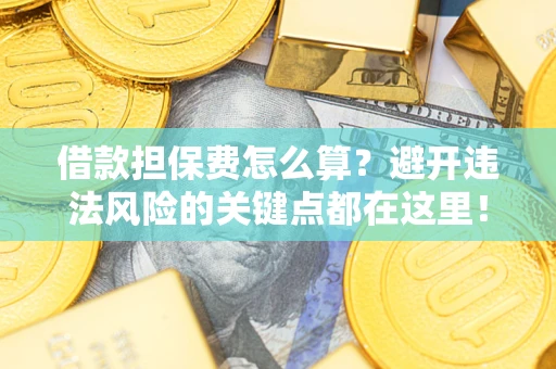 济南借款担保费怎么算？避开违法风险的关键点都在这里！